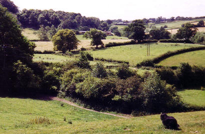 pp91f02c1c.jpg